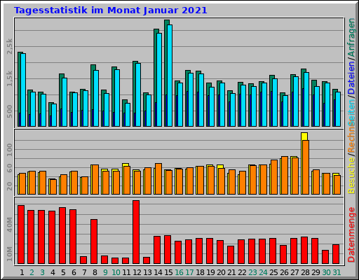 Tagesstatistik im Monat Januar 2021