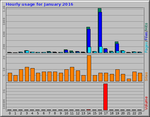 Hourly usage for January 2016