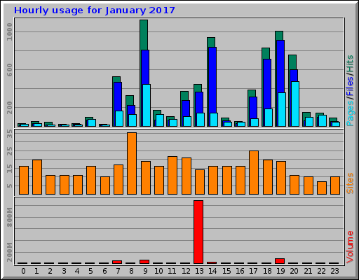 Hourly usage for January 2017