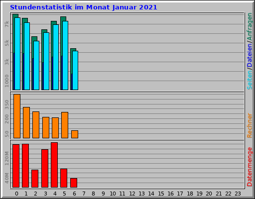 Stundenstatistik im Monat Januar 2021